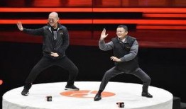 马老师爆料太极拳视频全集,太极拳视频全集深度解析